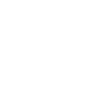 Sydney Mortgage Broker white logo